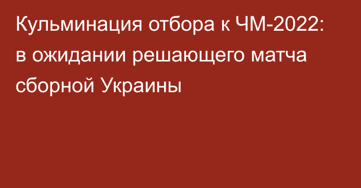 Кульминация отбора к ЧМ-2022: в ожидании решающего матча сборной Украины