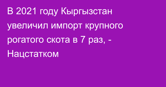 В 2021 году Кыргызстан увеличил импорт крупного рогатого скота в 7 раз, - Нацстатком