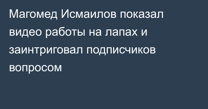 Магомед Исмаилов показал видео работы на лапах и заинтриговал подписчиков вопросом