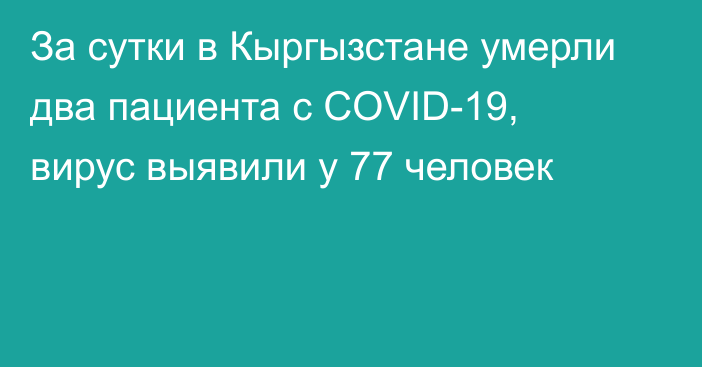 За сутки в Кыргызстане умерли два пациента с COVID-19, вирус выявили у 77 человек