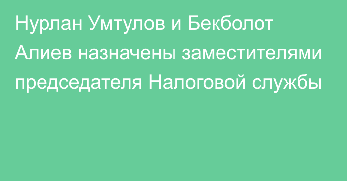 Нурлан Умтулов и Бекболот Алиев назначены заместителями председателя Налоговой службы