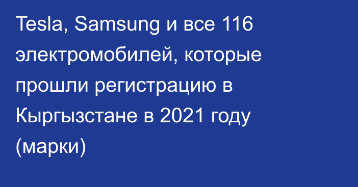 Tesla, Samsung и все 116 электромобилей, которые прошли регистрацию в Кыргызстане в 2021 году (марки)