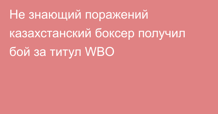 Не знающий поражений казахстанский боксер получил бой за титул WBO