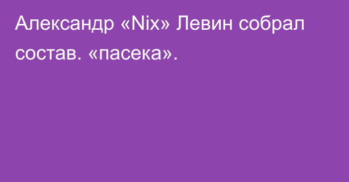 Александр «Nix» Левин собрал состав. «пасека».