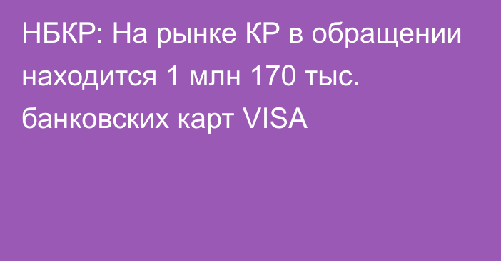 НБКР: На рынке КР в обращении находится 1 млн 170 тыс.  банковских карт VISA