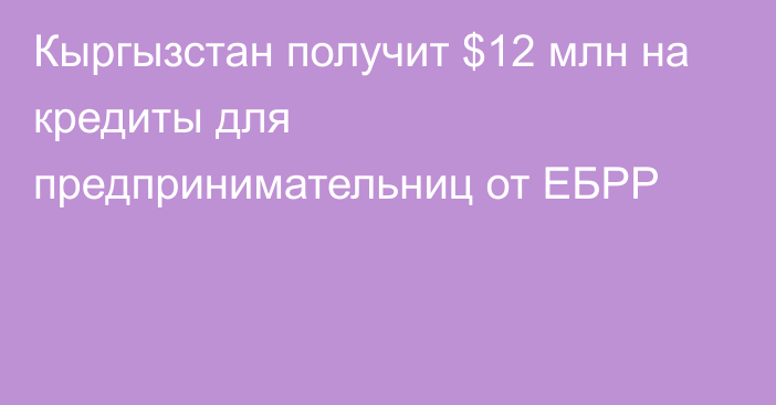 Кыргызстан получит $12 млн на кредиты для предпринимательниц от ЕБРР