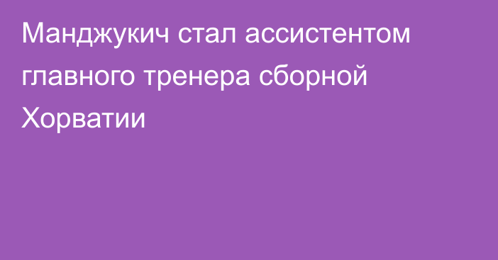 Манджукич стал ассистентом главного тренера сборной Хорватии