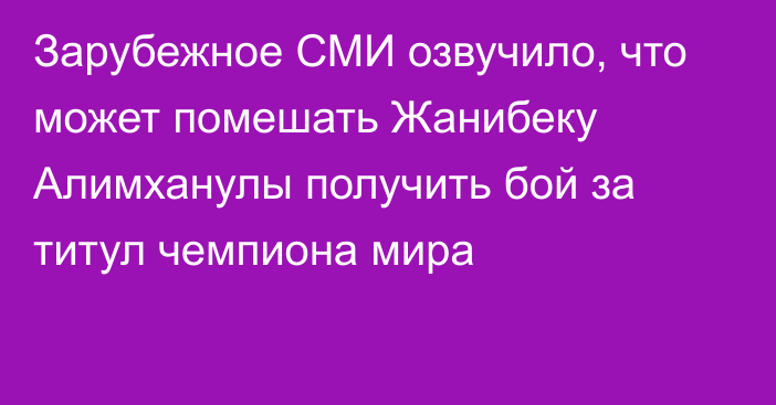 Зарубежное СМИ озвучило, что может помешать Жанибеку Алимханулы получить бой за титул чемпиона мира