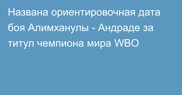 Названа ориентировочная дата боя Алимханулы - Андраде за титул чемпиона мира WBO