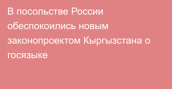 В посольстве России обеспокоились новым законопроектом Кыргызстана о госязыке