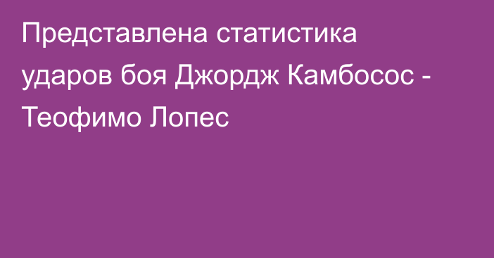 Представлена статистика ударов боя Джордж Камбосос - Теофимо Лопес