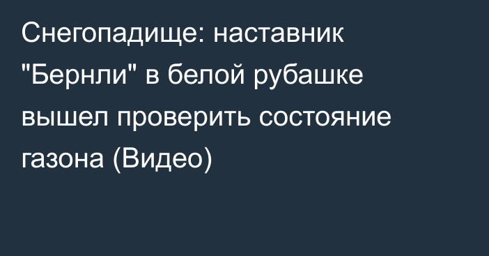 Снегопадище: наставник 