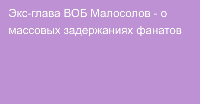 Экс-глава ВОБ Малосолов - о массовых задержаниях фанатов