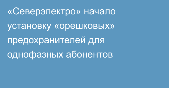 «Северэлектро» начало установку «орешковых» предохранителей для однофазных абонентов