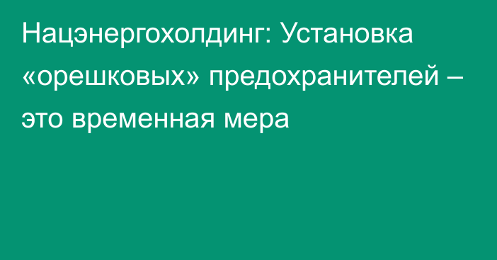 Нацэнергохолдинг: Установка «орешковых» предохранителей – это временная мера