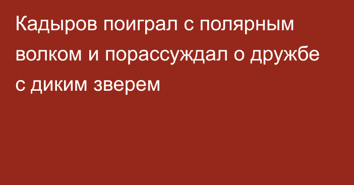 Кадыров поиграл с полярным волком и порассуждал о дружбе с диким зверем