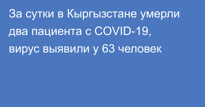 За сутки в Кыргызстане умерли два пациента с COVID-19, вирус выявили у 63 человек