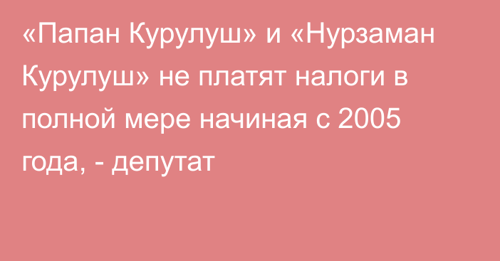«Папан Курулуш» и «Нурзаман Курулуш» не платят налоги в полной мере начиная с 2005 года, - депутат