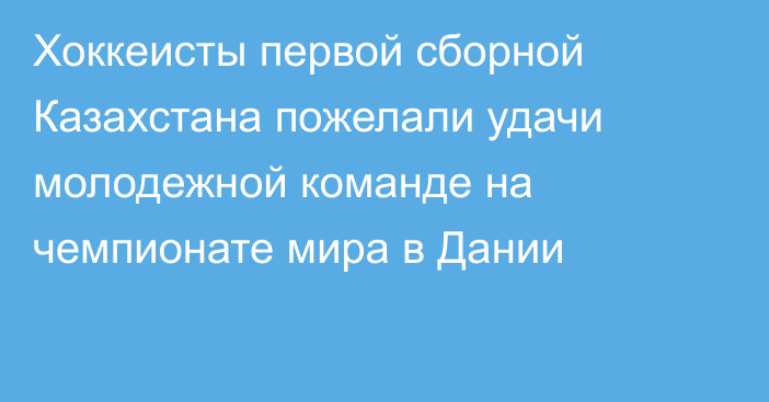 Хоккеисты первой сборной Казахстана пожелали удачи молодежной команде на чемпионате мира в Дании