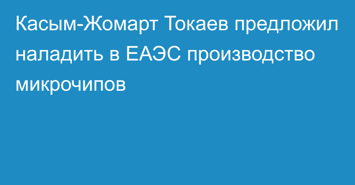 Касым-Жомарт Токаев предложил наладить в ЕАЭС производство микрочипов