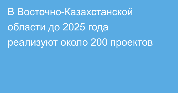 В Восточно-Казахстанской области до 2025 года реализуют около 200 проектов