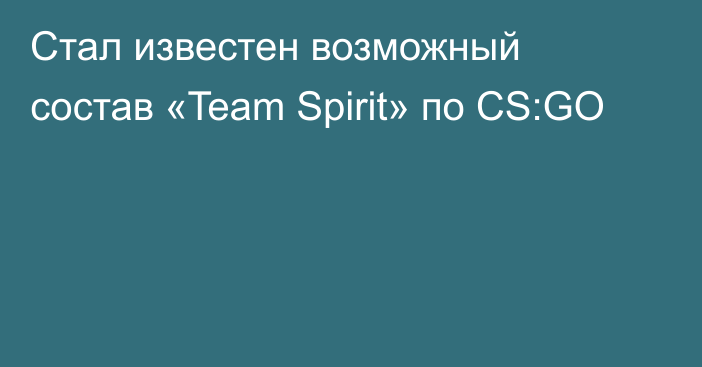 Стал известен возможный состав «Team Spirit» по CS:GO