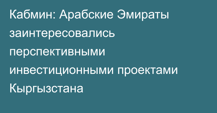 Кабмин: Арабские Эмираты заинтересовались перспективными инвестиционными проектами Кыргызстана