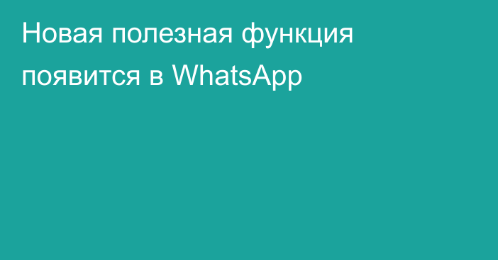 Новая полезная функция появится в WhatsApp