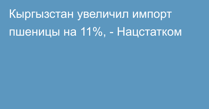 Кыргызстан увеличил импорт пшеницы на 11%, - Нацстатком