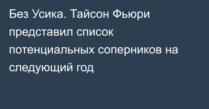 Без Усика. Тайсон Фьюри представил список потенциальных соперников на следующий год