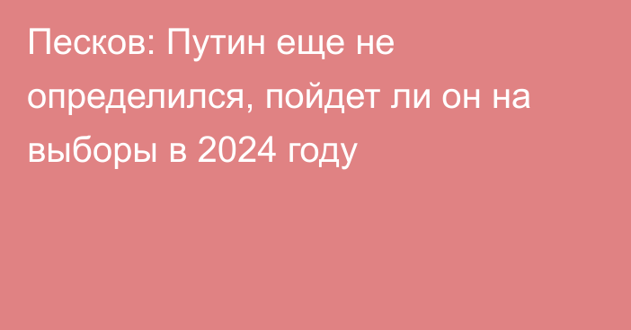 Песков: Путин еще не определился, пойдет ли он на выборы в 2024 году