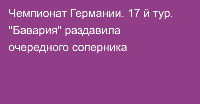 Чемпионат Германии. 17 й тур. 