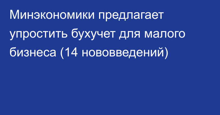 Минэкономики предлагает упростить бухучет для малого бизнеса (14 нововведений)