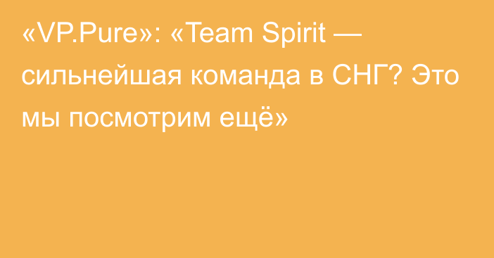 «VP.Pure»: «Team Spirit — сильнейшая команда в СНГ? Это мы посмотрим ещё»