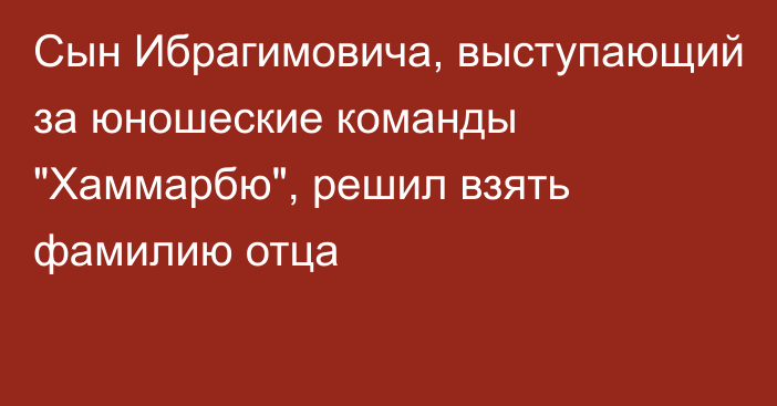 Сын Ибрагимовича, выступающий за юношеские команды 