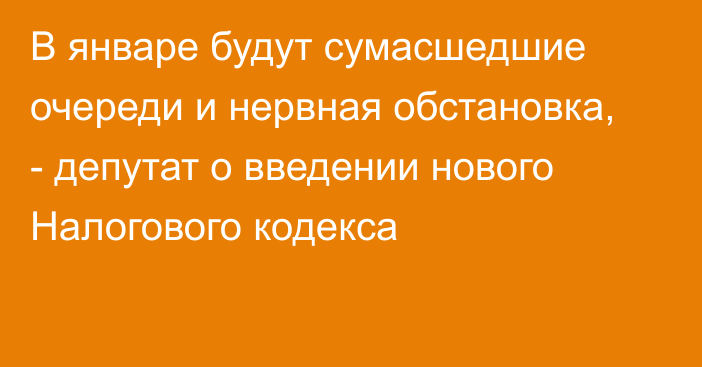 В январе будут сумасшедшие очереди и нервная обстановка, - депутат о введении нового Налогового кодекса