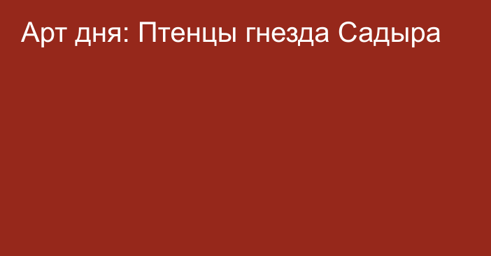 Арт дня: Птенцы гнезда Садыра