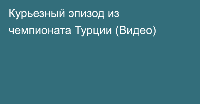 Курьезный эпизод из чемпионата Турции (Видео)