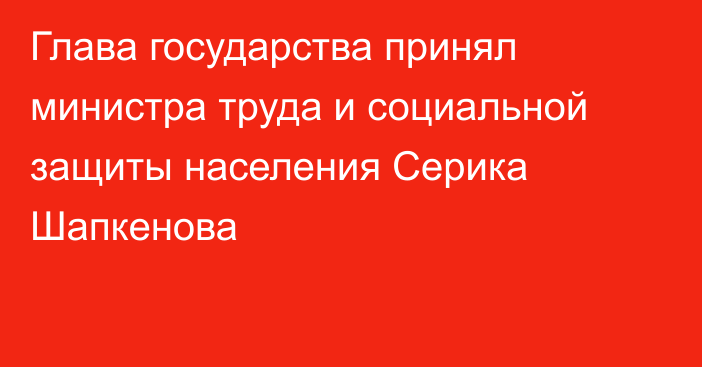 Глава государства принял министра труда и социальной защиты населения Серика Шапкенова