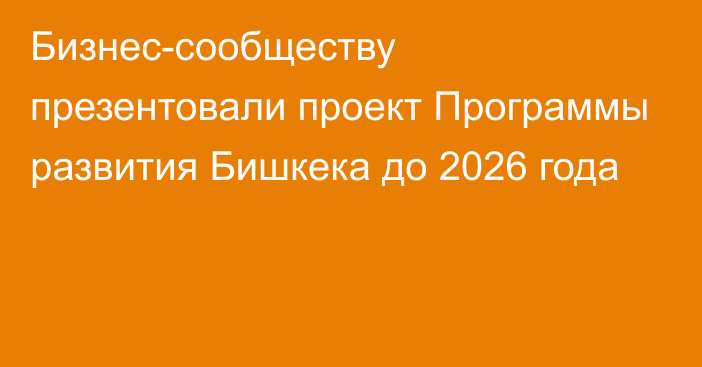 Бизнес-сообществу презентовали проект Программы развития Бишкека до 2026 года
