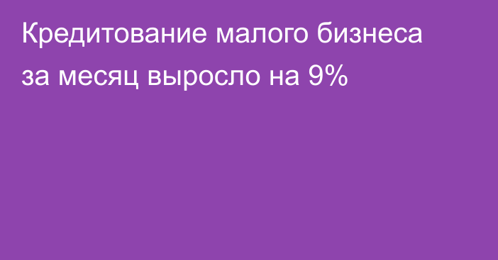 Кредитование малого бизнеса за месяц выросло на 9%