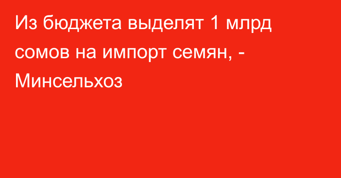 Из бюджета выделят 1 млрд сомов на импорт семян, - Минсельхоз