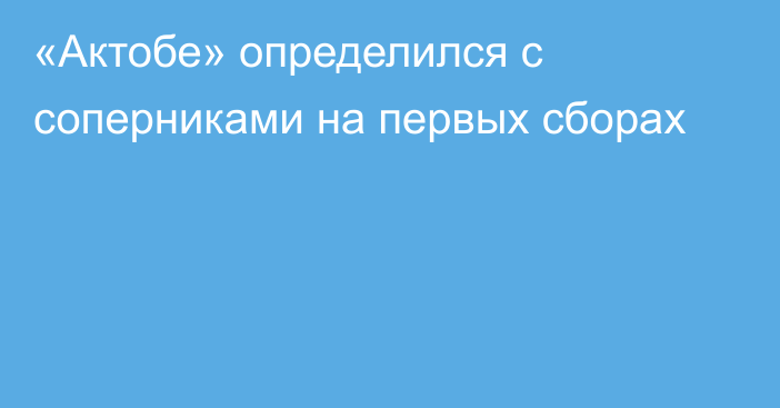 «Актобе» определился с соперниками на первых сборах