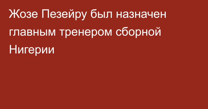 Жозе Пезейру был назначен главным тренером сборной Нигерии