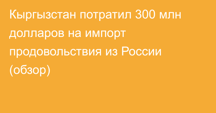 Кыргызстан потратил 300 млн долларов на импорт продовольствия из России (обзор)