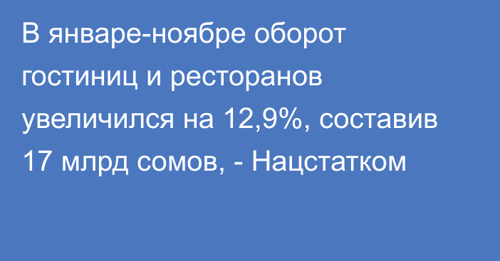 В январе-ноябре оборот гостиниц и ресторанов увеличился на 12,9%, составив 17 млрд сомов, - Нацстатком