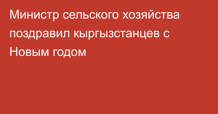 Министр сельского хозяйства поздравил кыргызстанцев с Новым годом 