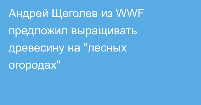 Андрей Щеголев из WWF предложил выращивать древесину на 