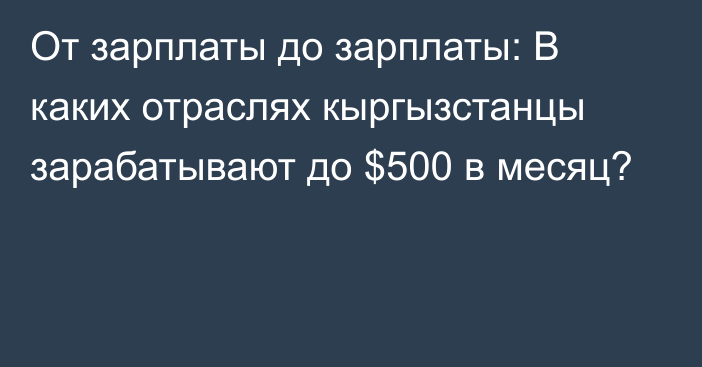 От зарплаты до зарплаты: В каких отраслях кыргызстанцы зарабатывают до $500 в месяц?