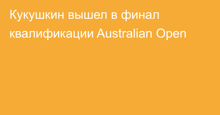 Кукушкин вышел в финал квалификации Australian Open
